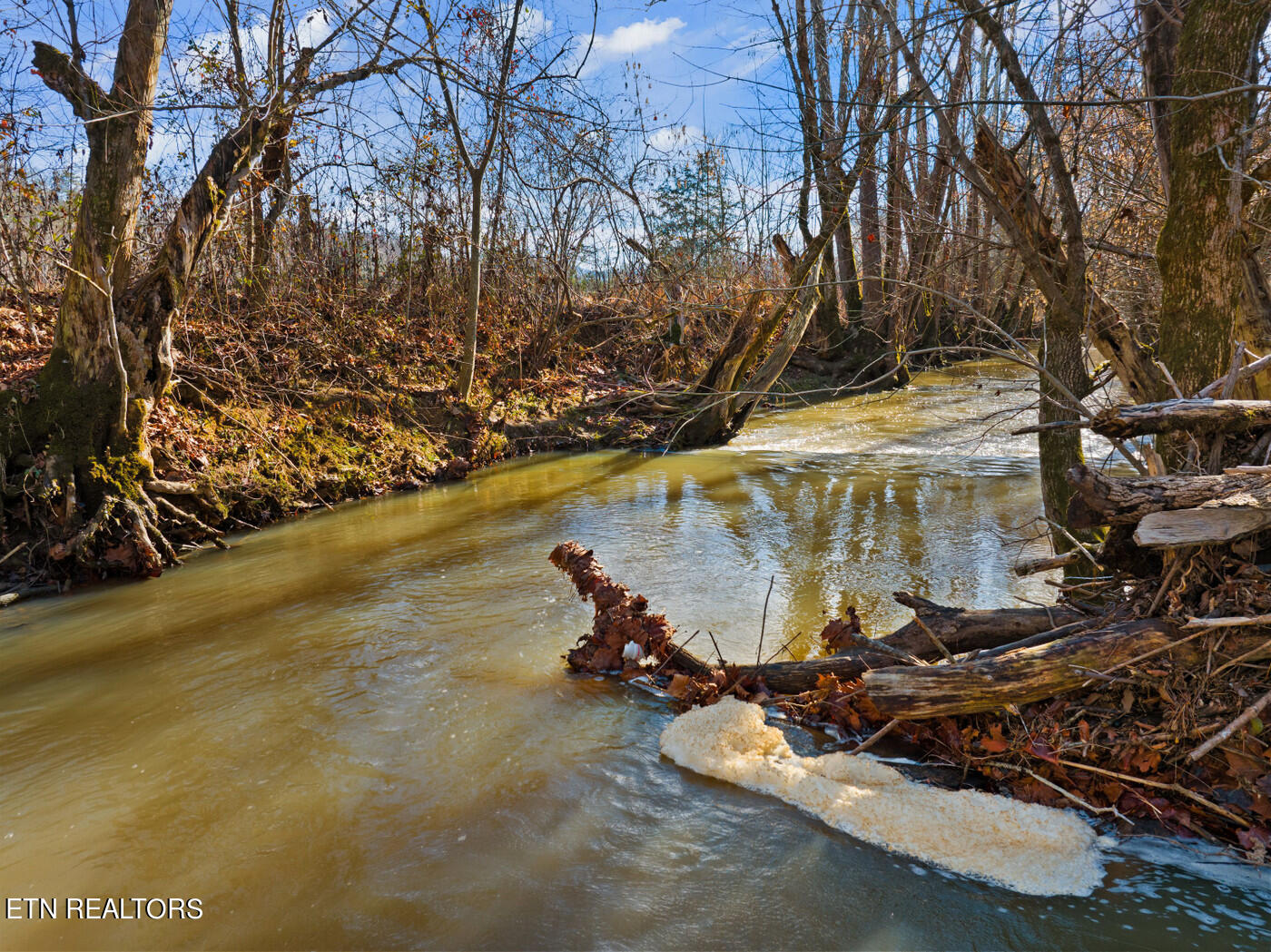 Timberlake Circle Sevierville, TN 37876 - Photo 11 of 16 timber 16