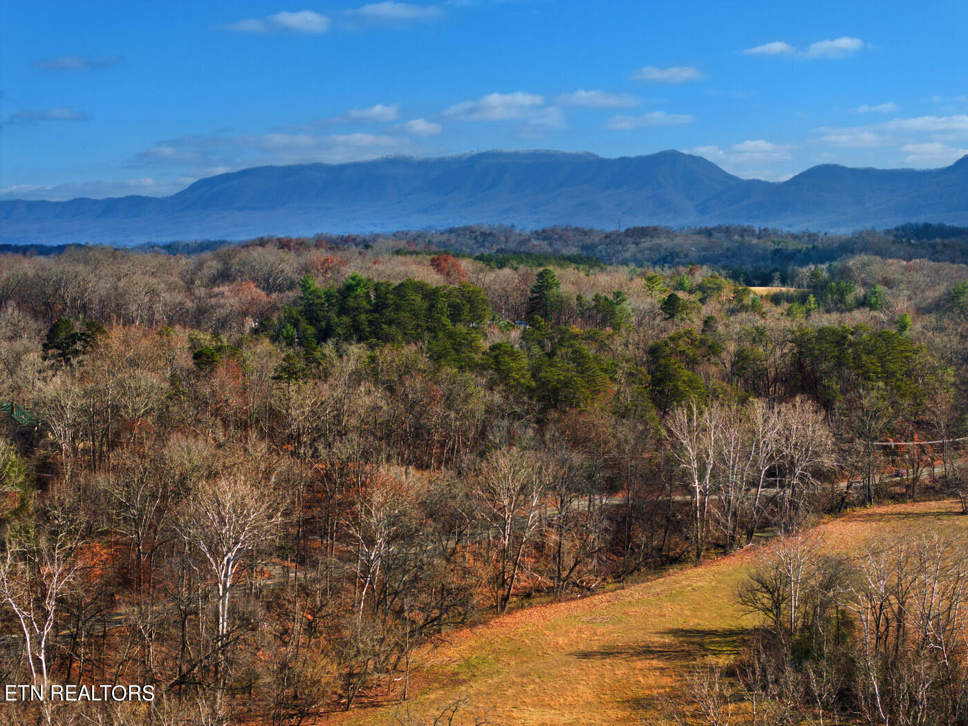 Timberlake Circle Sevierville, TN 37876 - Photo 12 of 16 timber 17