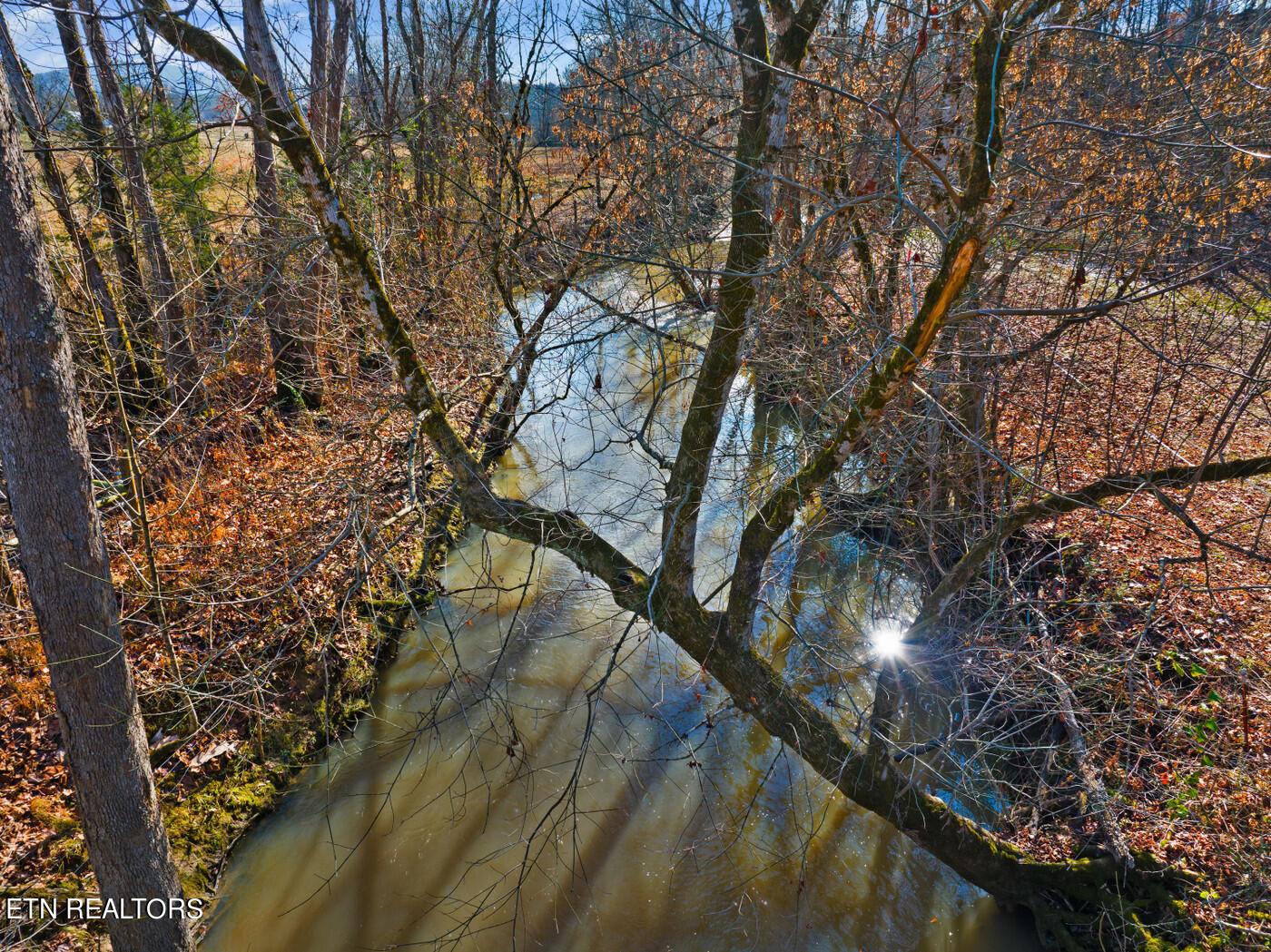 Timberlake Circle Sevierville, TN 37876 - Photo 8 of 16 timber 13