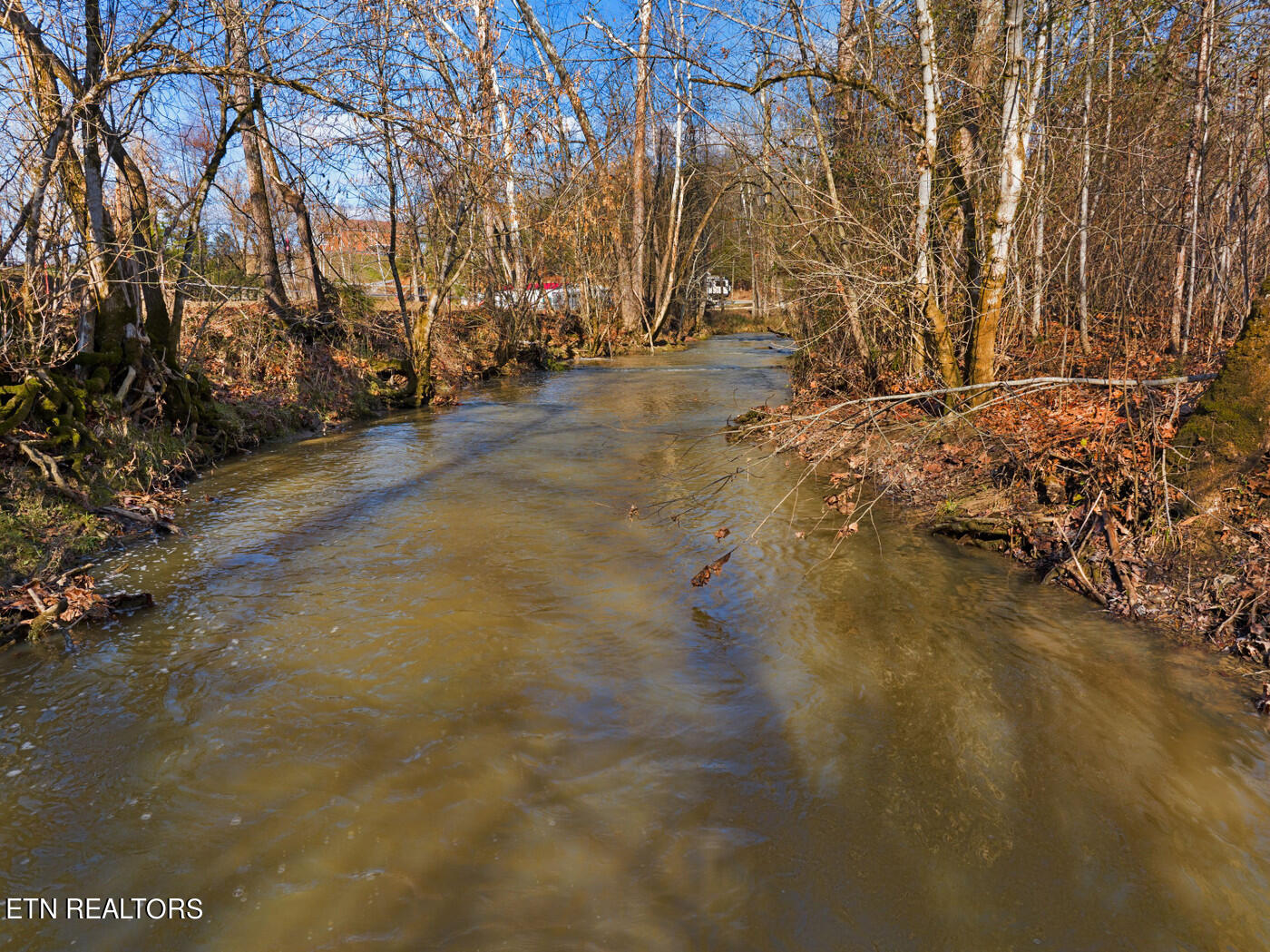 Timberlake Circle Sevierville, TN 37876 - Photo 10 of 16 timber 15
