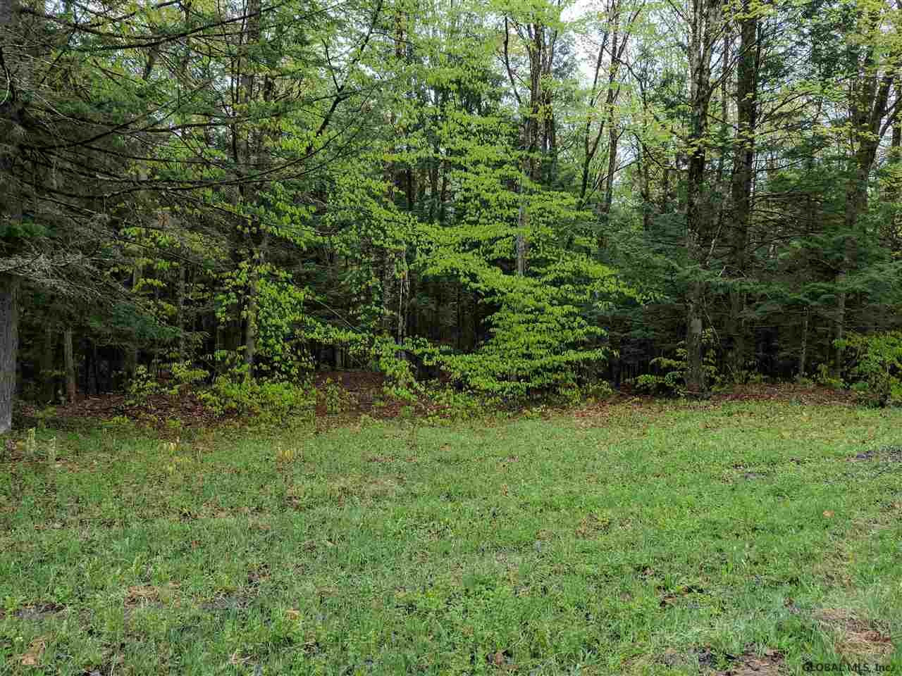 0 Handy Road Mayfield, NY 12117 - Photo 1 of 11 Photo 1