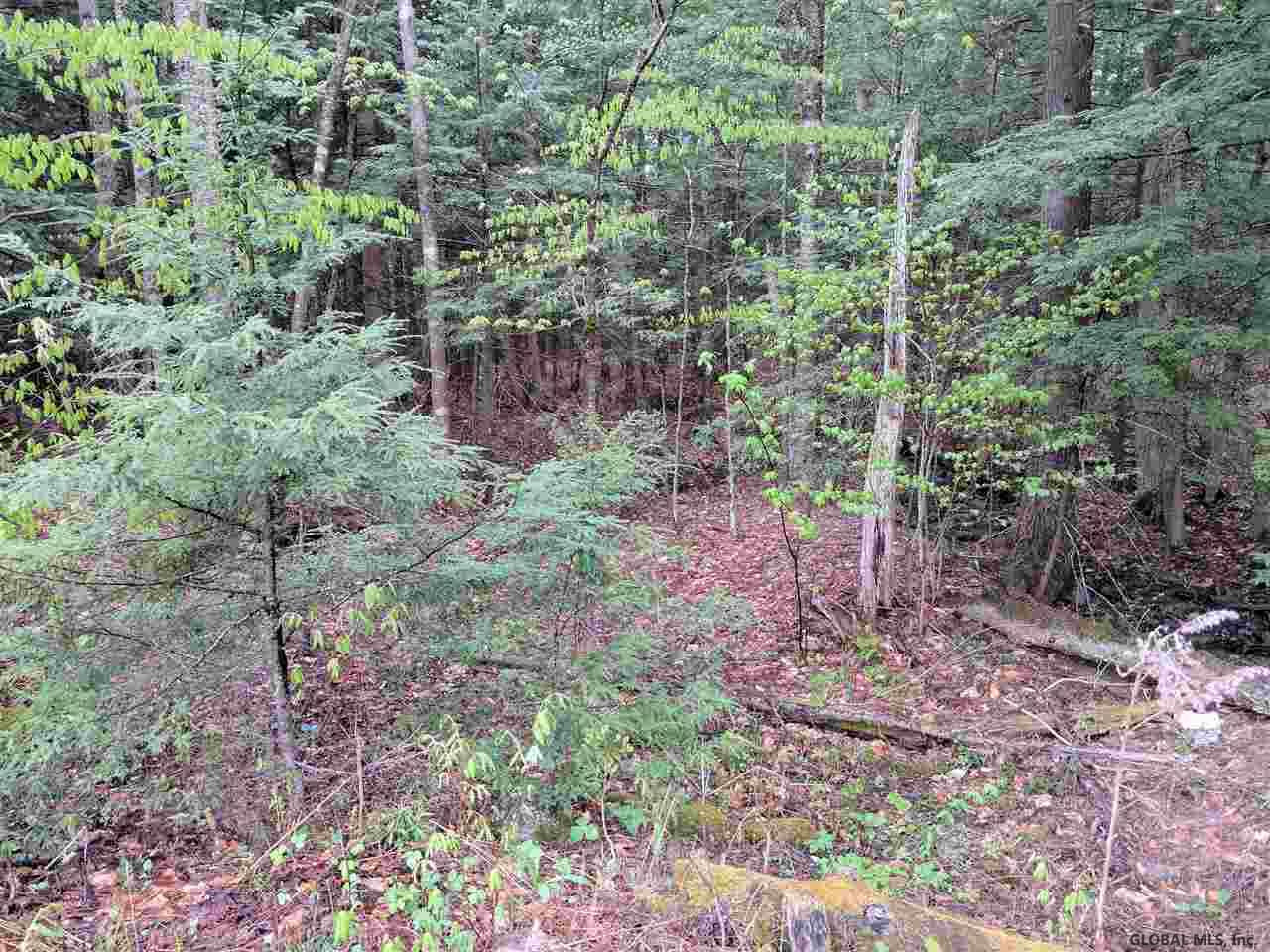 0 Handy Road Mayfield, NY 12117 - Photo 3 of 11 Photo 3
