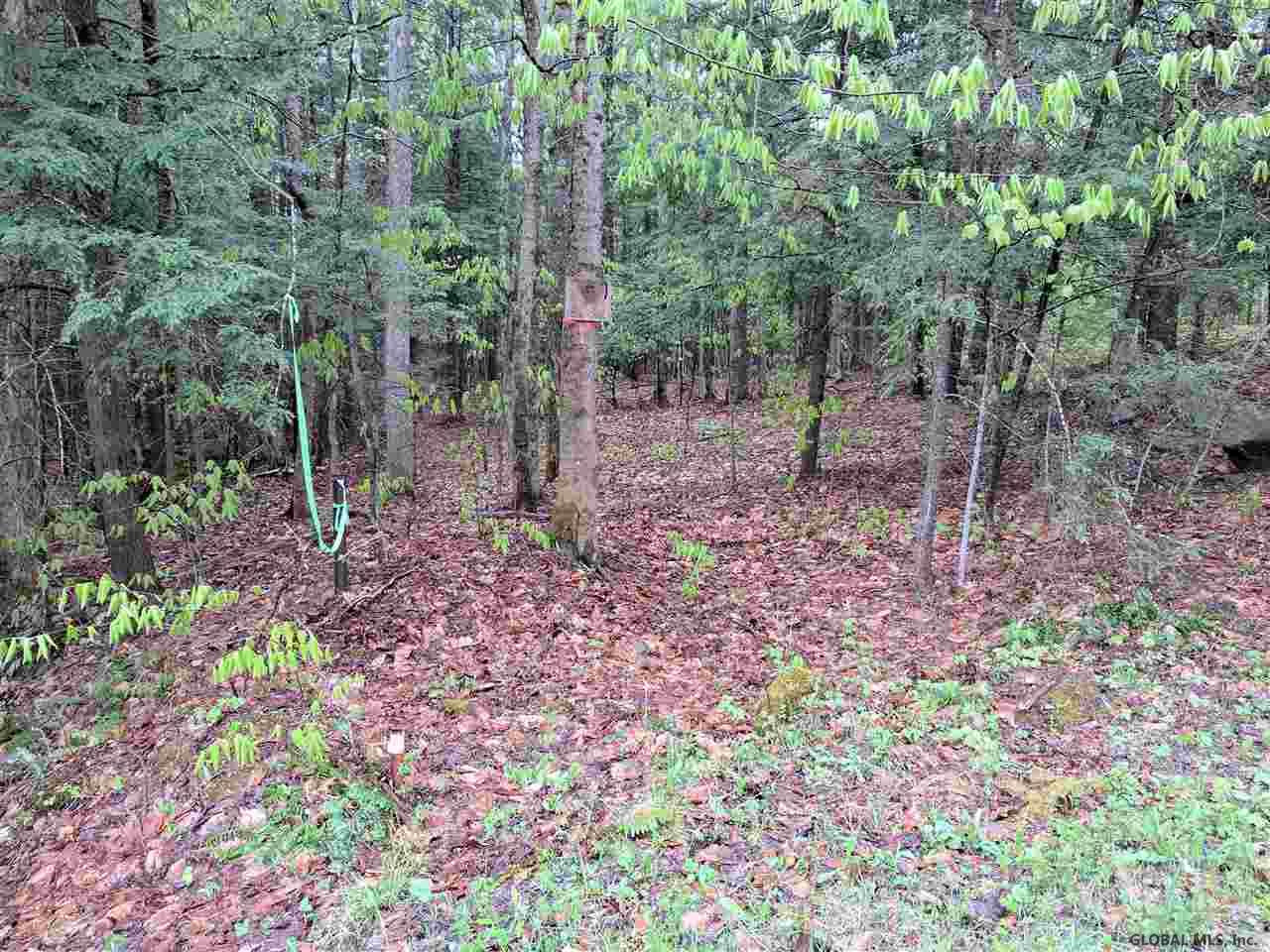 0 Handy Road Mayfield, NY 12117 - Photo 4 of 11 Photo 4