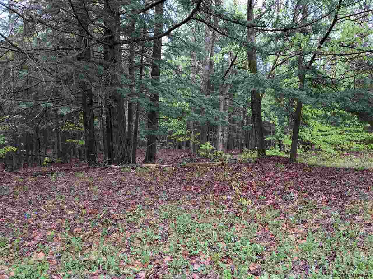 0 Handy Road Mayfield, NY 12117 - Photo 6 of 11 Photo 6