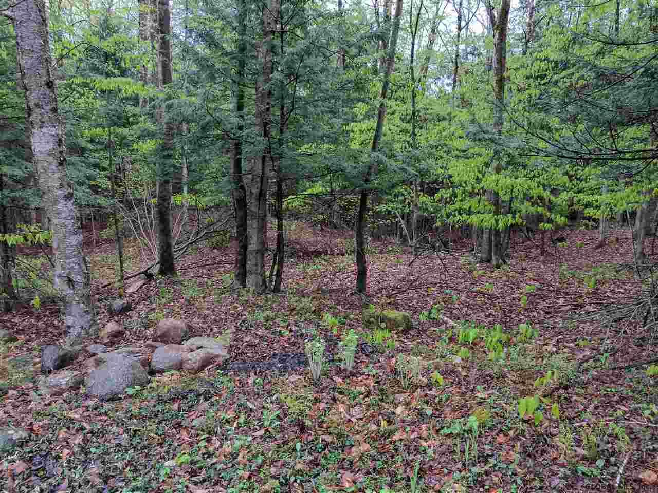 0 Handy Road Mayfield, NY 12117 - Photo 8 of 11 Photo 8