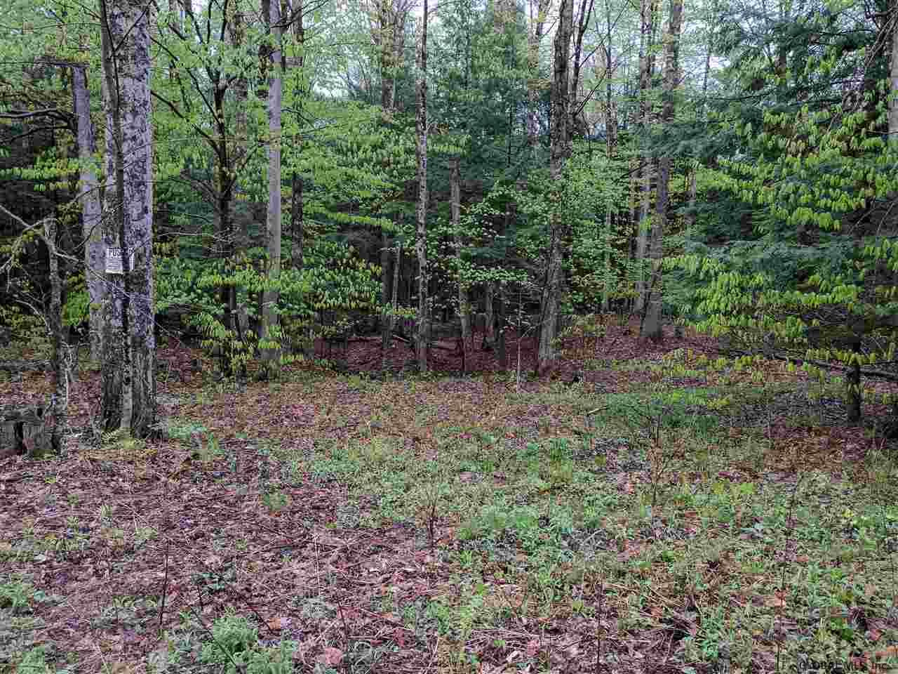 0 Handy Road Mayfield, NY 12117 - Photo 9 of 11 Photo 9