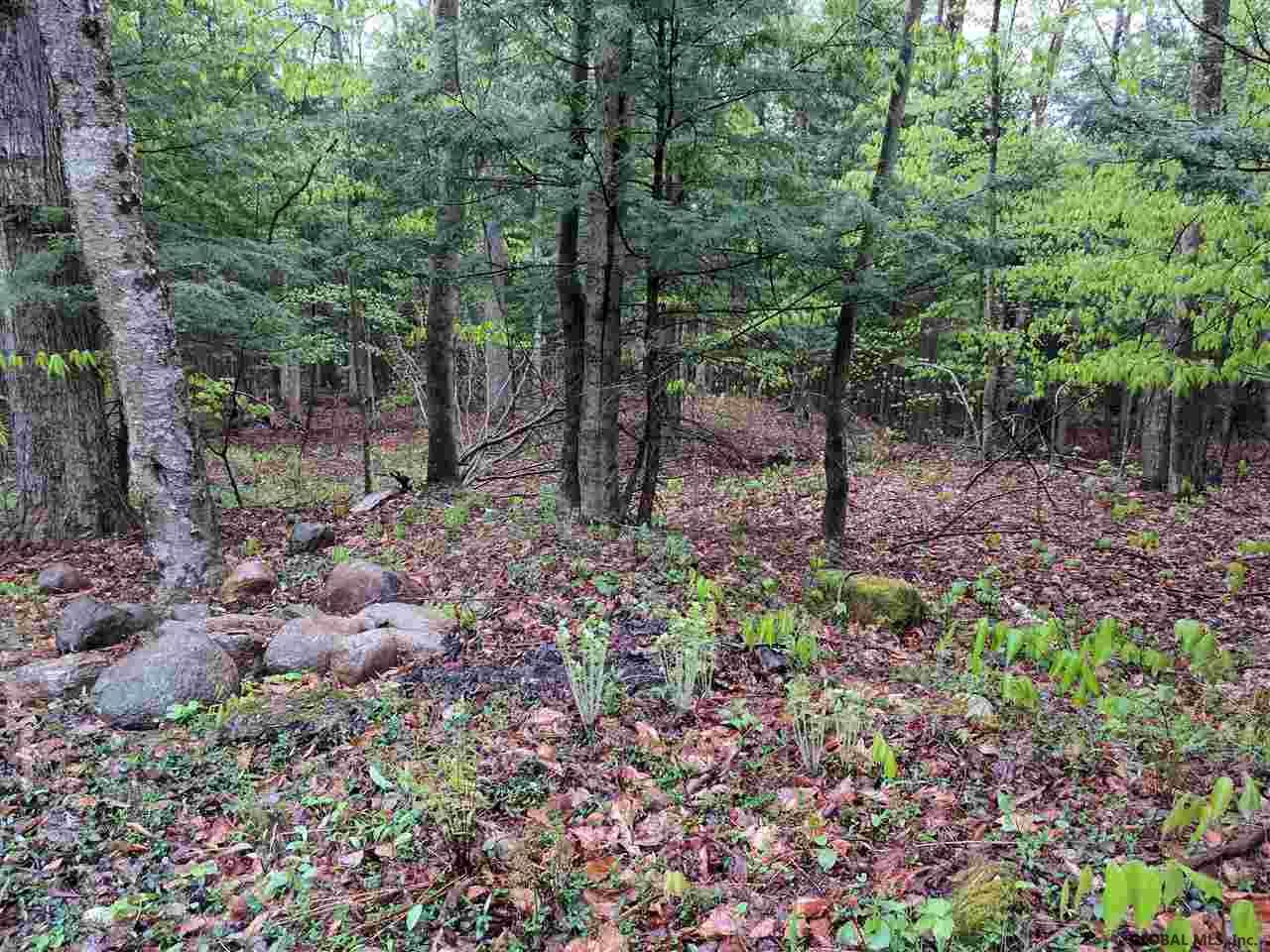 0 Handy Road Mayfield, NY 12117 - Photo 10 of 11 Photo 10