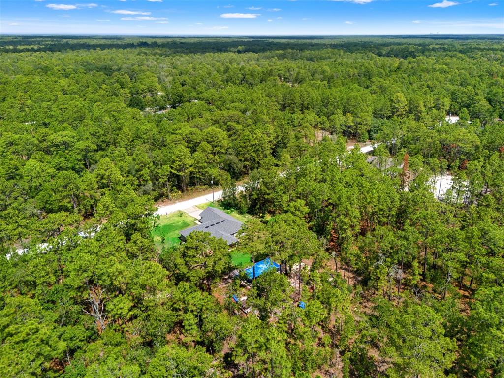 18336 Macek Road Weeki Wachee, FL 34614 - Photo 59 of 67