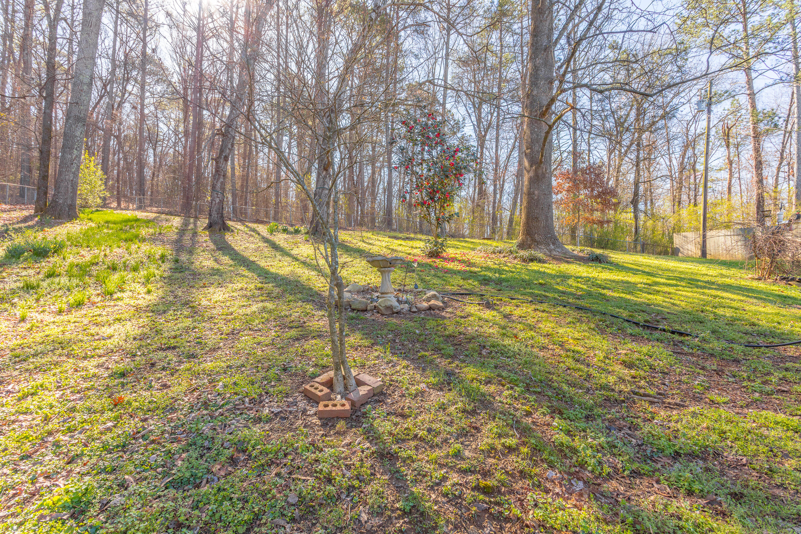 5892 Stonewall Drive Harrison, TN 37341 - Photo 14 of 38 5892 Stonewall Drive HD-13