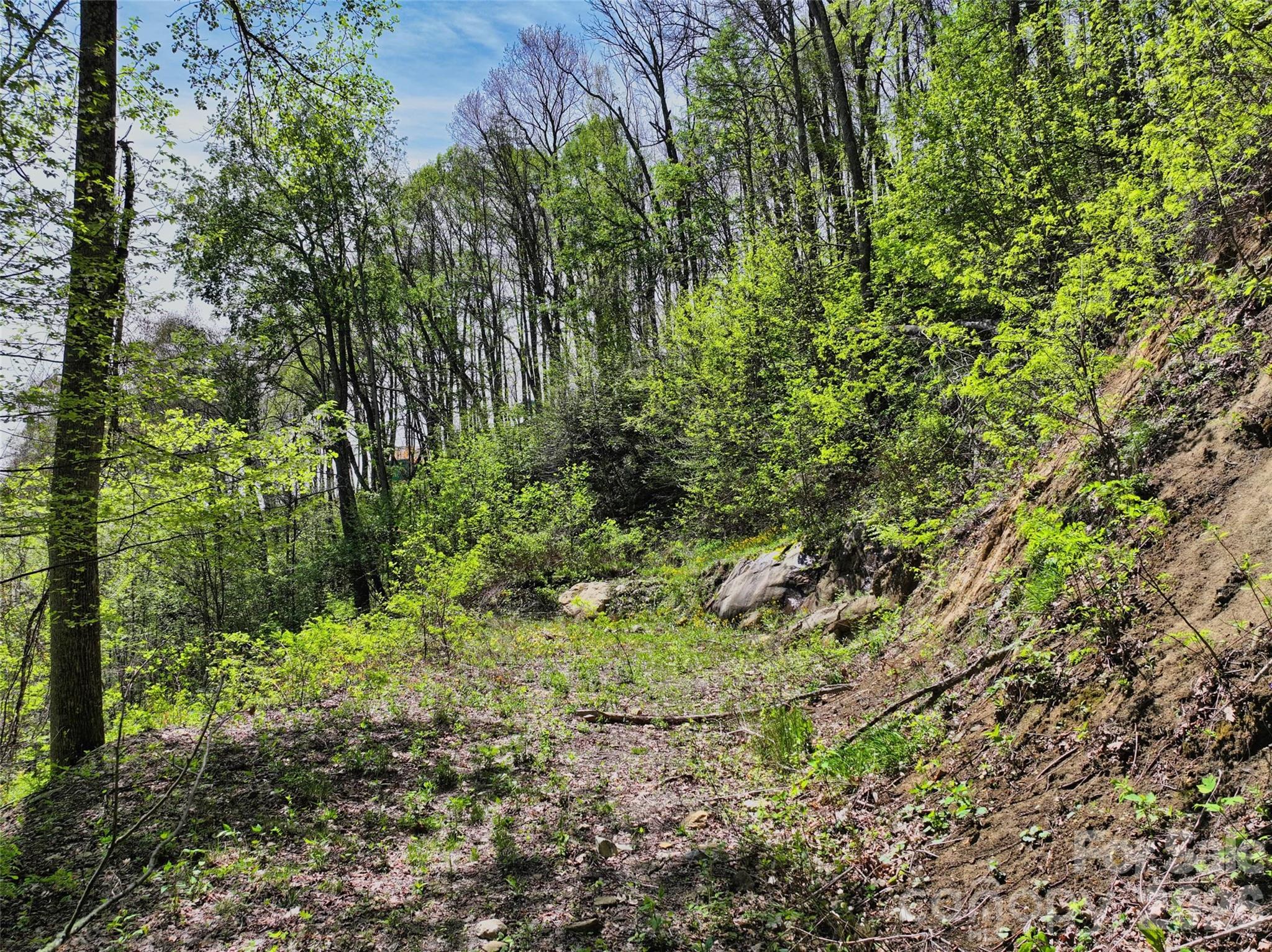 9999 Divit Road, Unit 45 Waynesville, NC 28785 - Photo 11 of 30