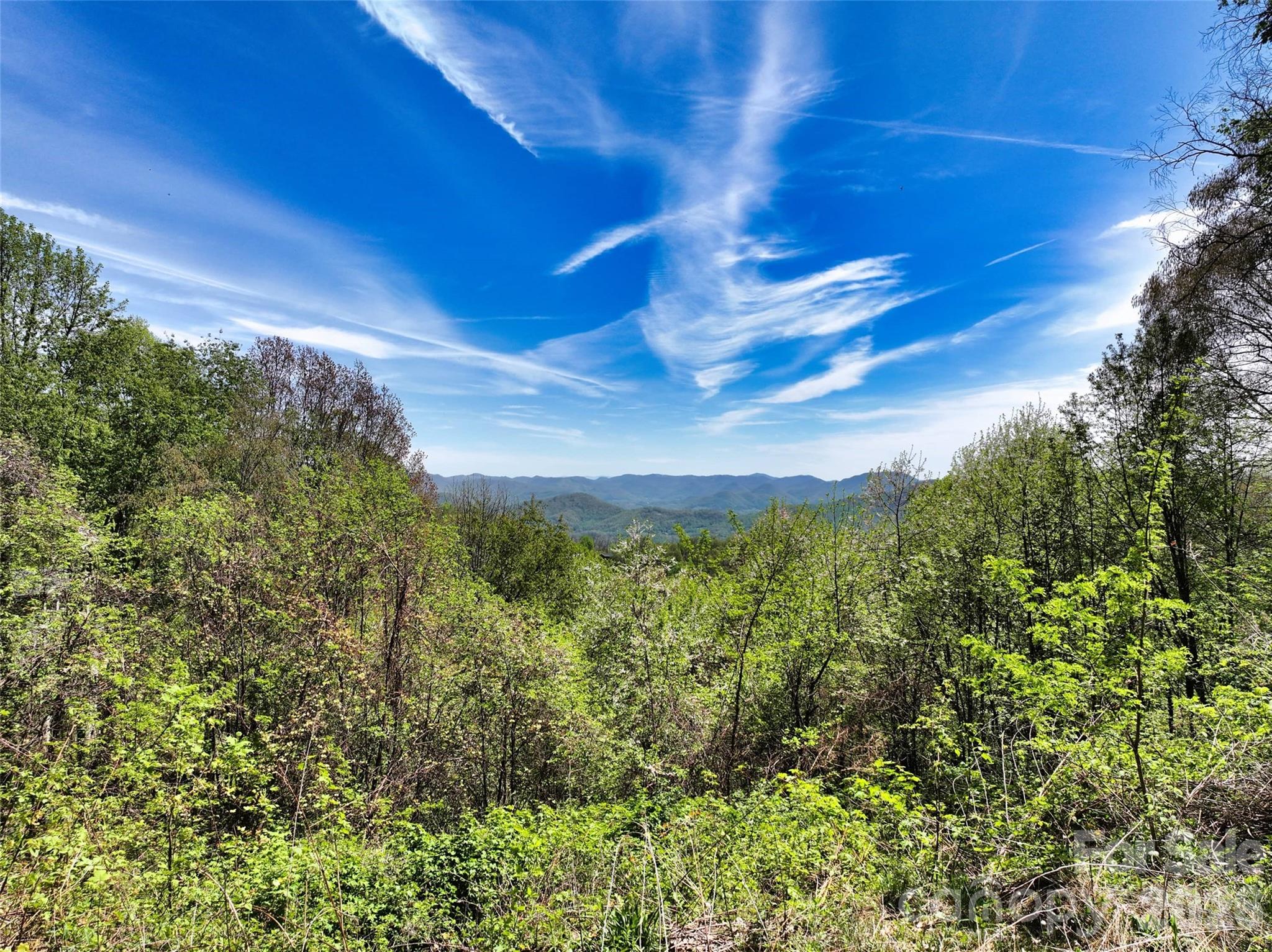 9999 Divit Road, Unit 45 Waynesville, NC 28785 - Photo 13 of 30