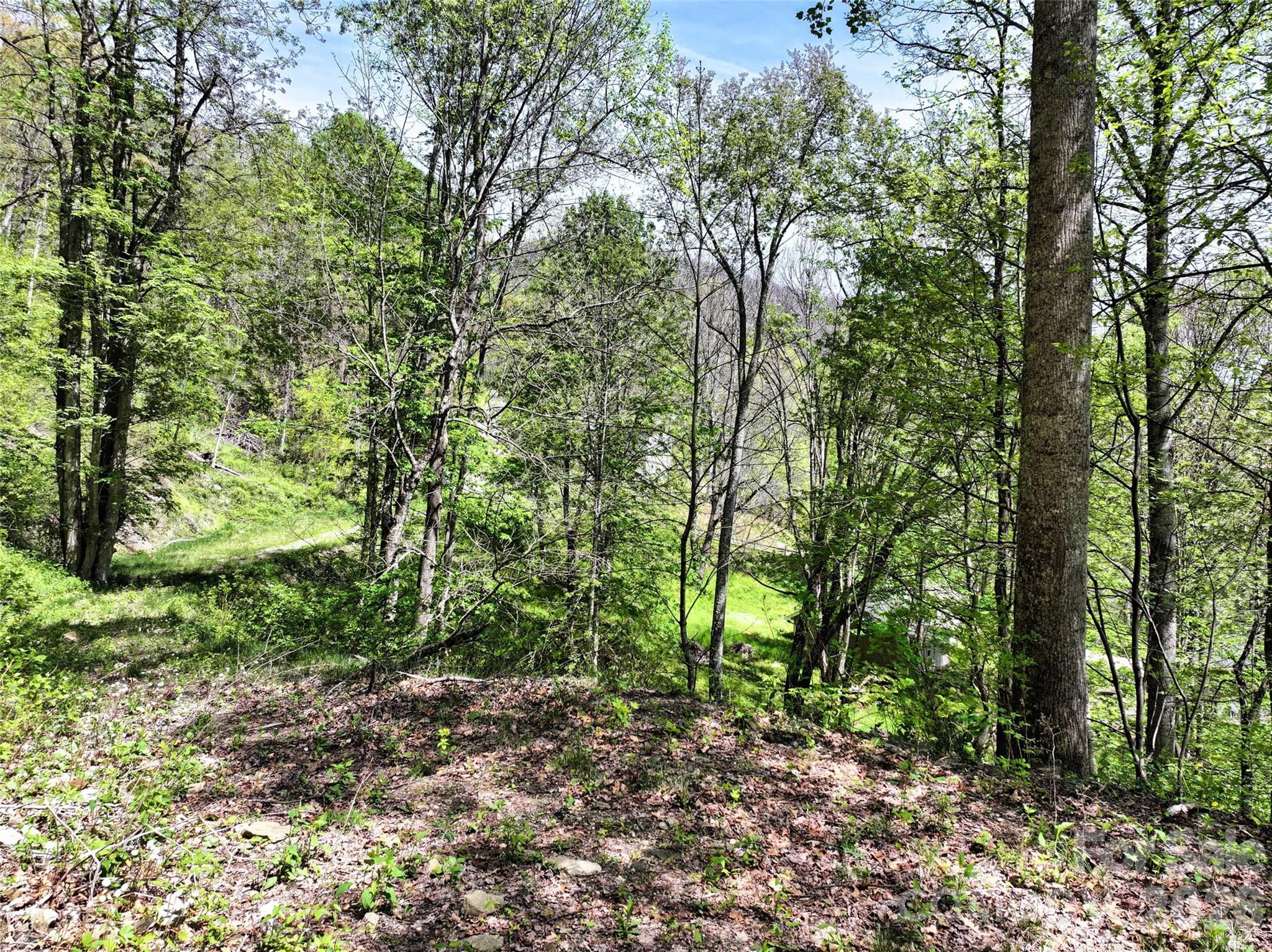 9999 Divit Road, Unit 45 Waynesville, NC 28785 - Photo 15 of 30