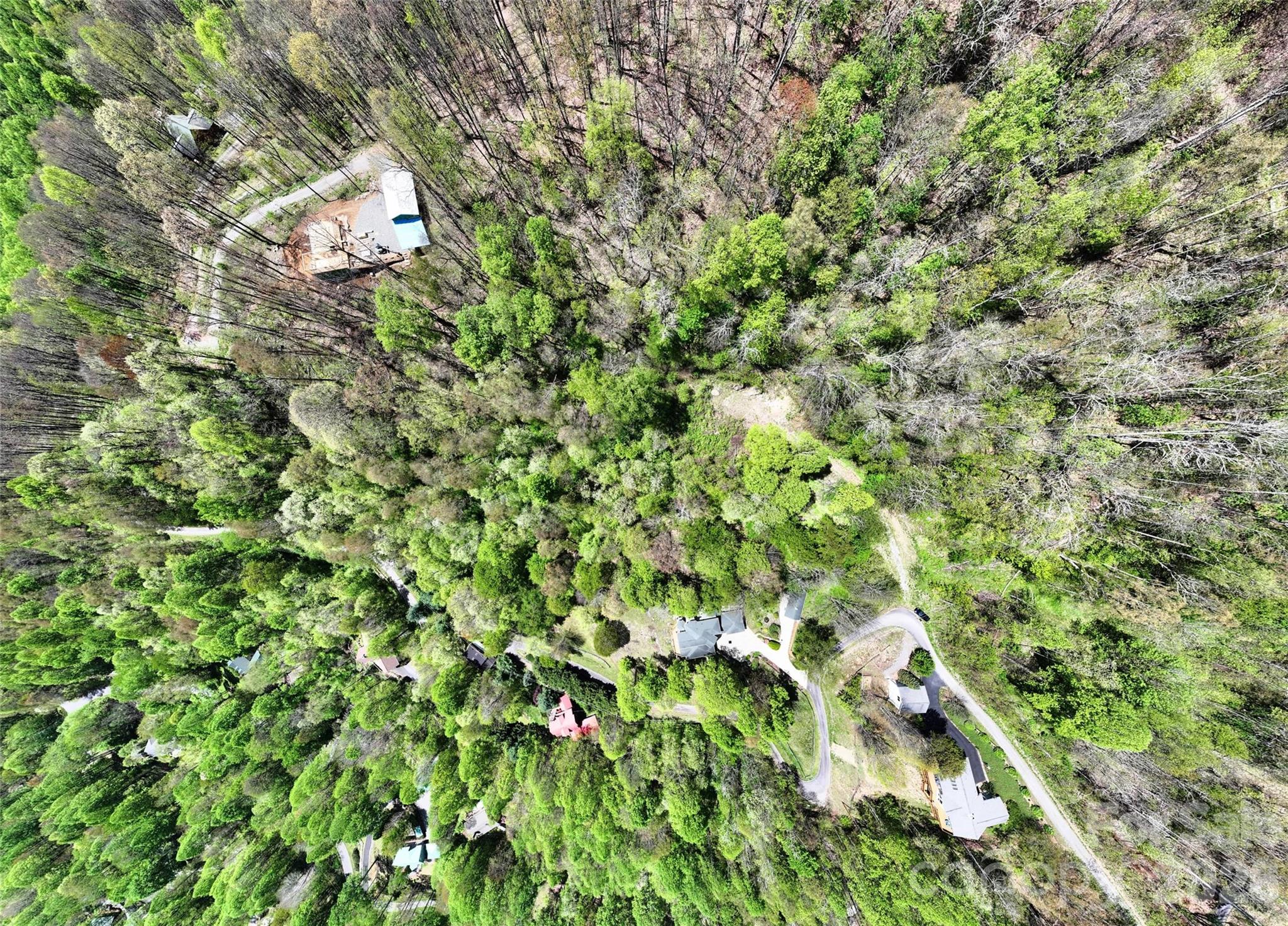 9999 Divit Road, Unit 45 Waynesville, NC 28785 - Photo 26 of 30