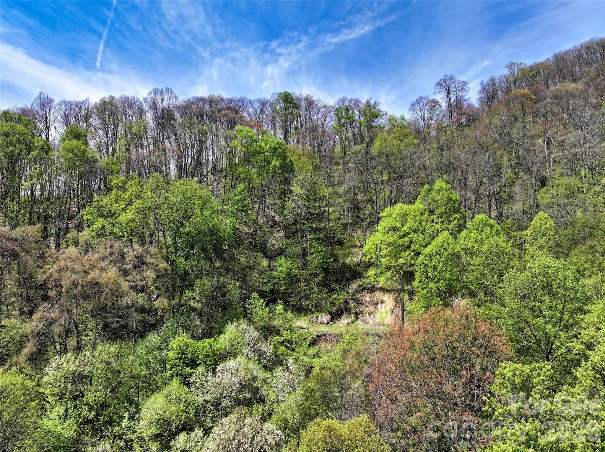 9999 Divit Road, Unit 45 Waynesville, NC 28785 - Photo 29 of 30