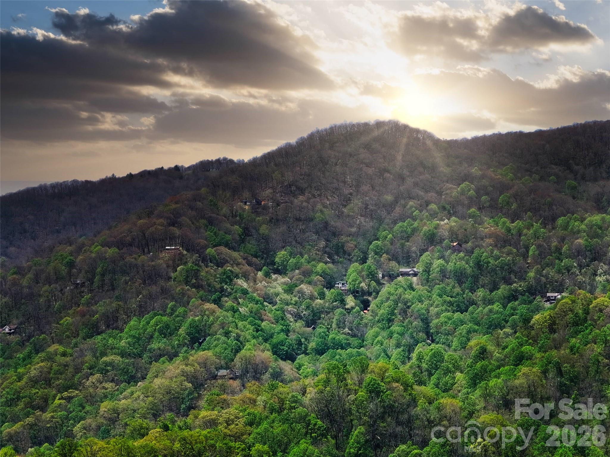 9999 Divit Road, Unit 45 Waynesville, NC 28785 - Photo 30 of 30