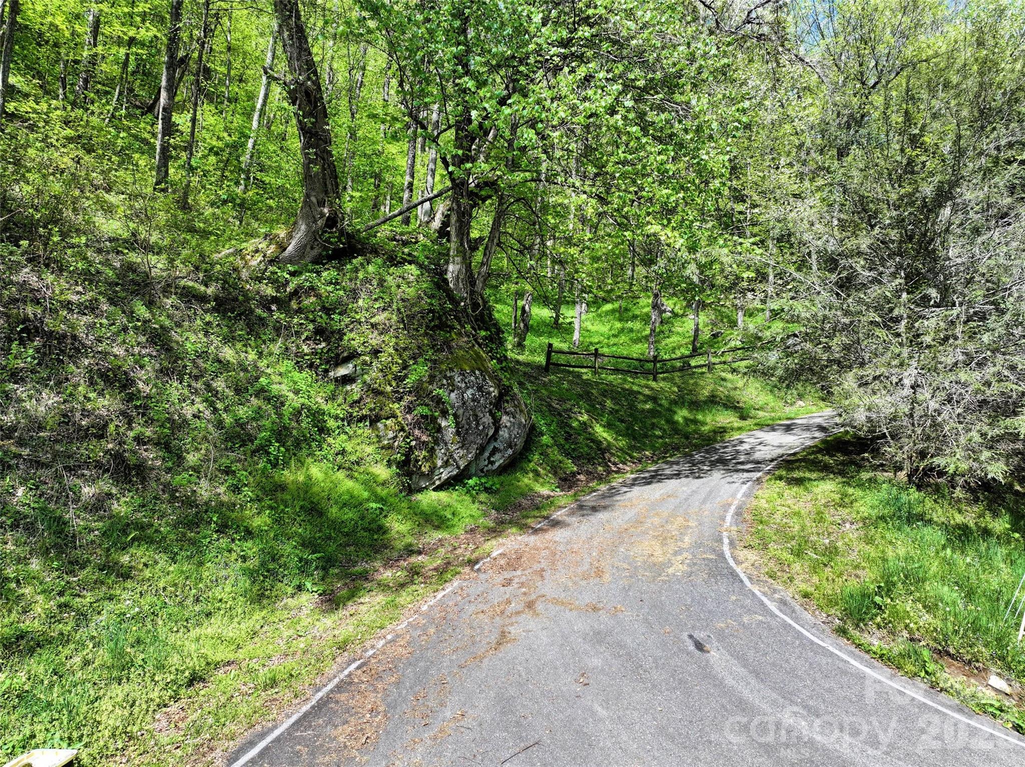 9999 Divit Road, Unit 45 Waynesville, NC 28785 - Photo 7 of 30