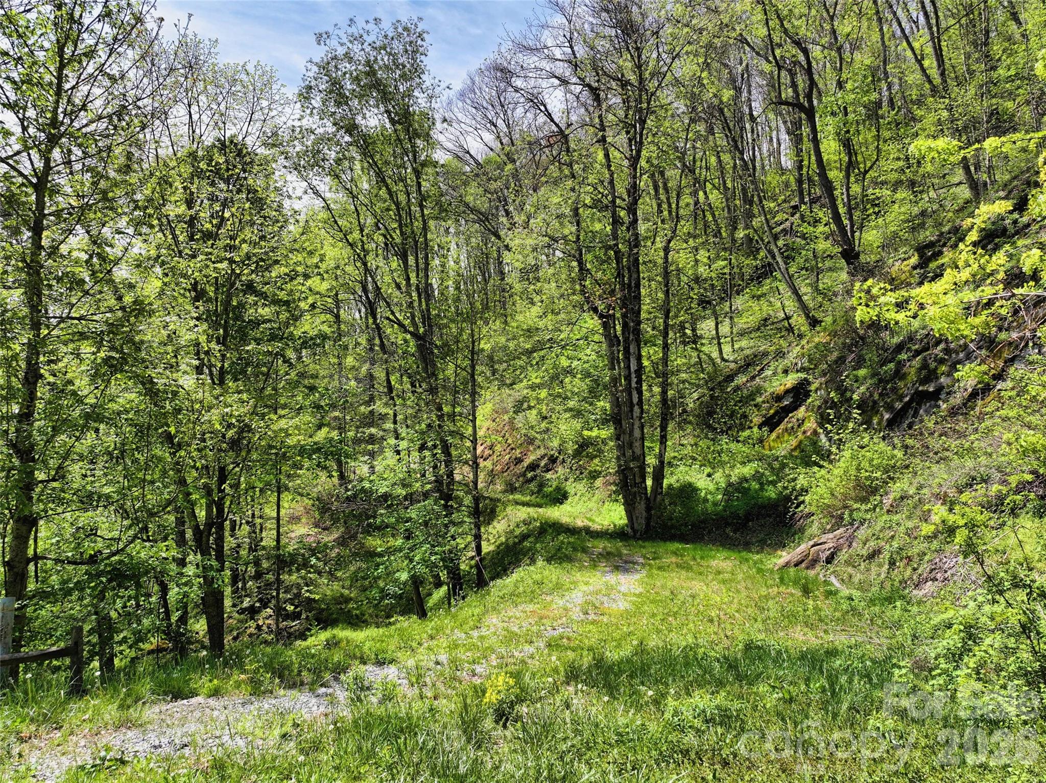 9999 Divit Road, Unit 45 Waynesville, NC 28785 - Photo 9 of 30