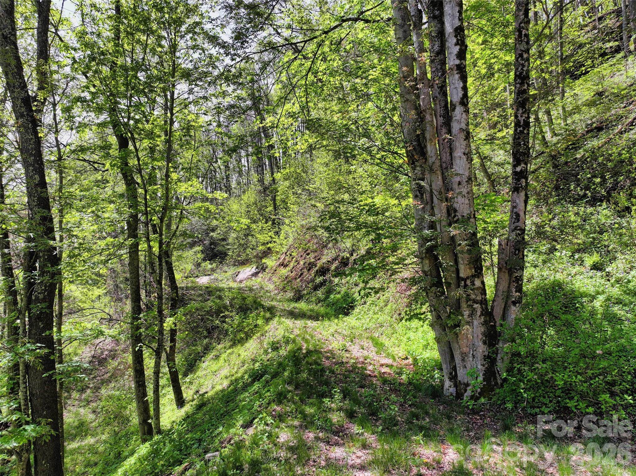 9999 Divit Road, Unit 45 Waynesville, NC 28785 - Photo 10 of 30