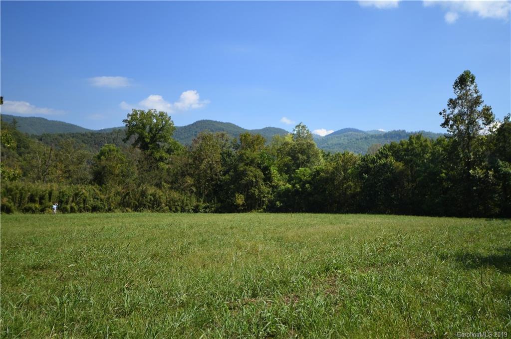Tbd Lower Shut In Road Hot Springs, NC 28743 - Photo 15 of 30 Gallery Image 15