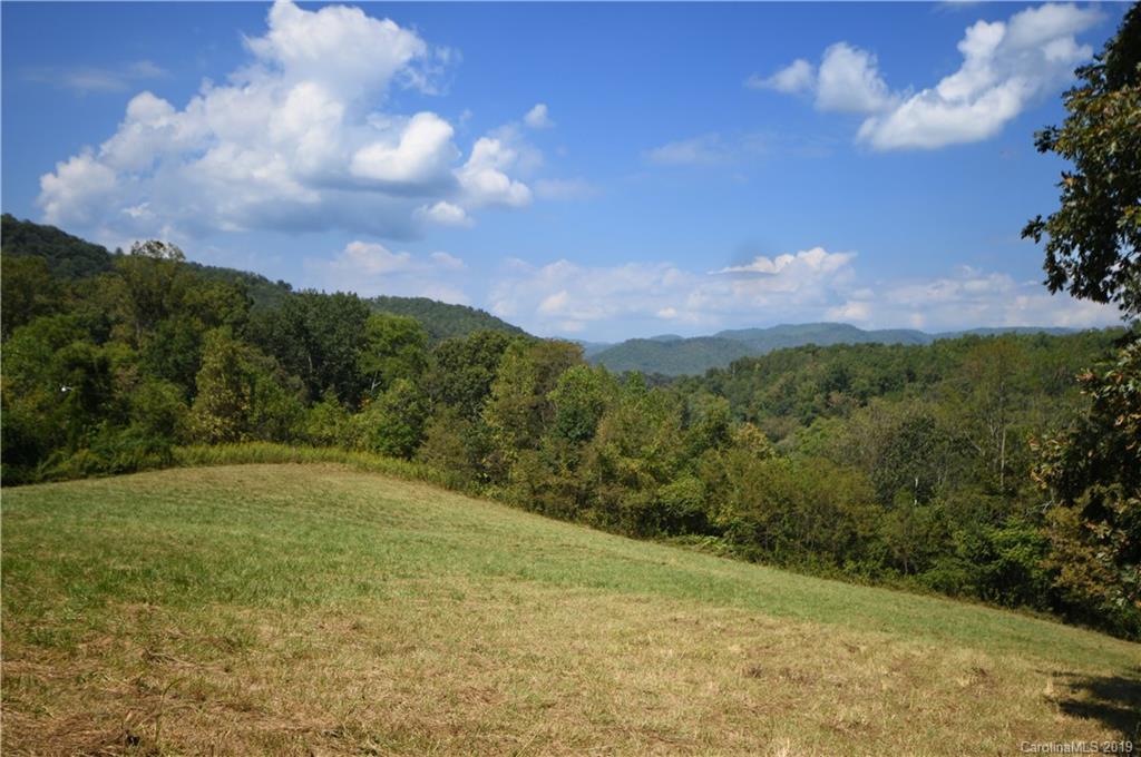 Tbd Lower Shut In Road Hot Springs, NC 28743 - Photo 21 of 30 Gallery Image 21