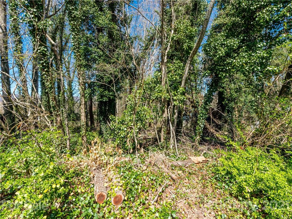 276 Justice Ridge Road Candler, NC 28715 - Photo 47 of 48 Gallery Image 47