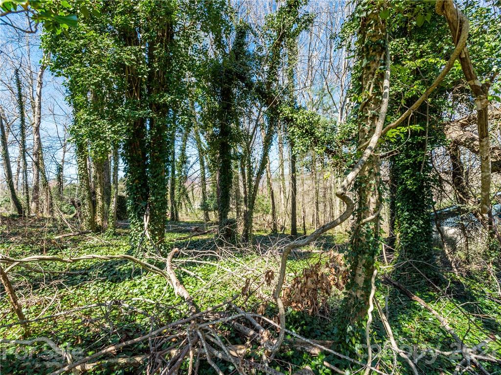 276 Justice Ridge Road Candler, NC 28715 - Photo 48 of 48 Gallery Image 48