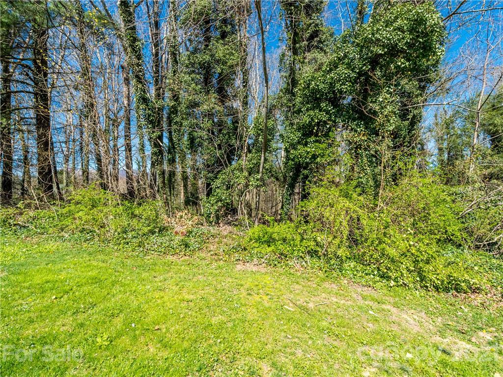 276 Justice Ridge Road Candler, NC 28715 - Photo 7 of 48 Gallery Image 7