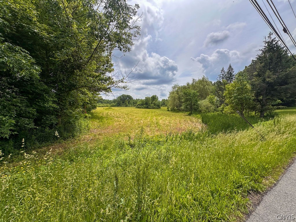 0 Co Rt 176 Fulton, NY 13069 - Photo 8 of 8