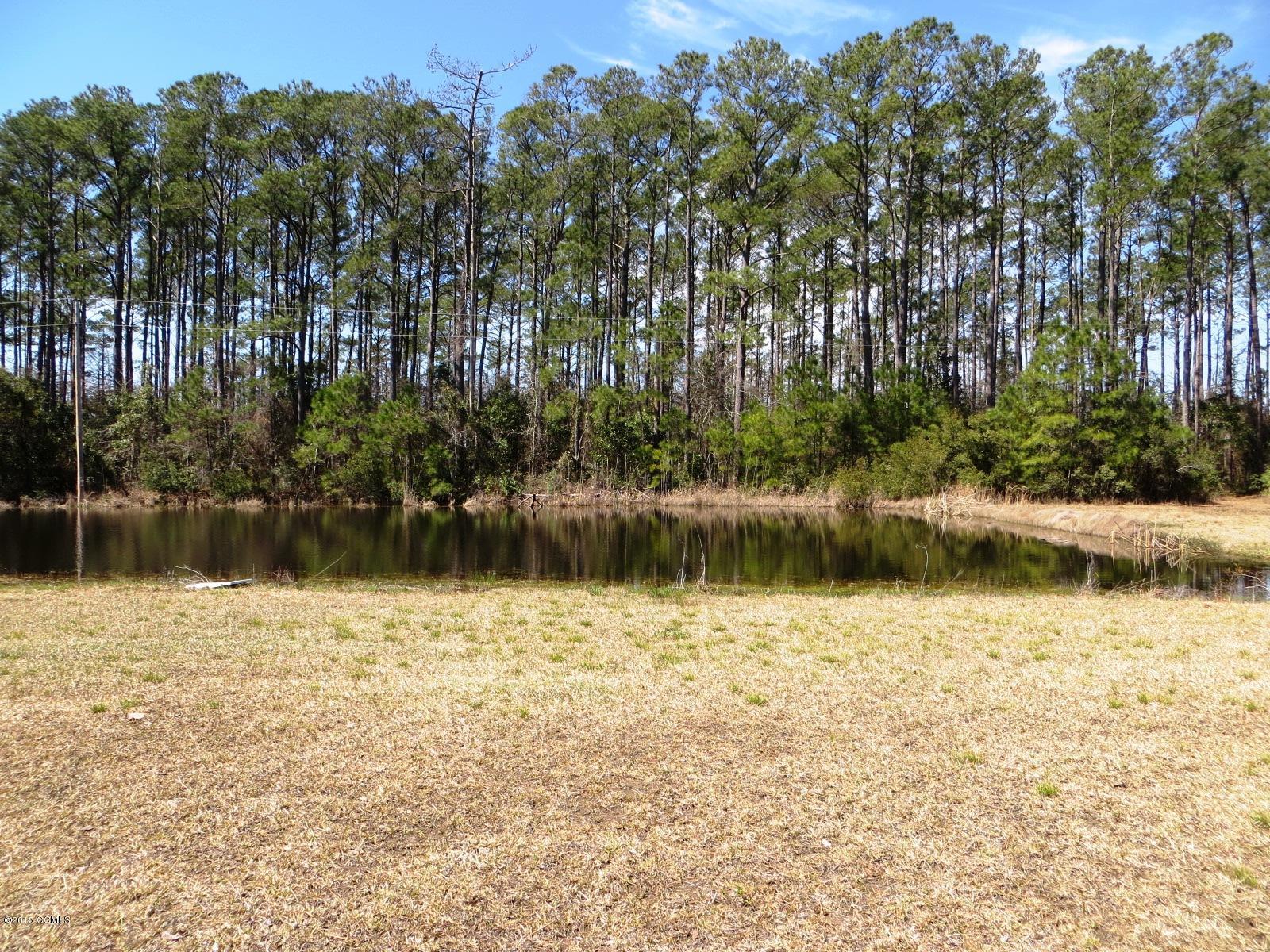 pond (shared with neighbor)