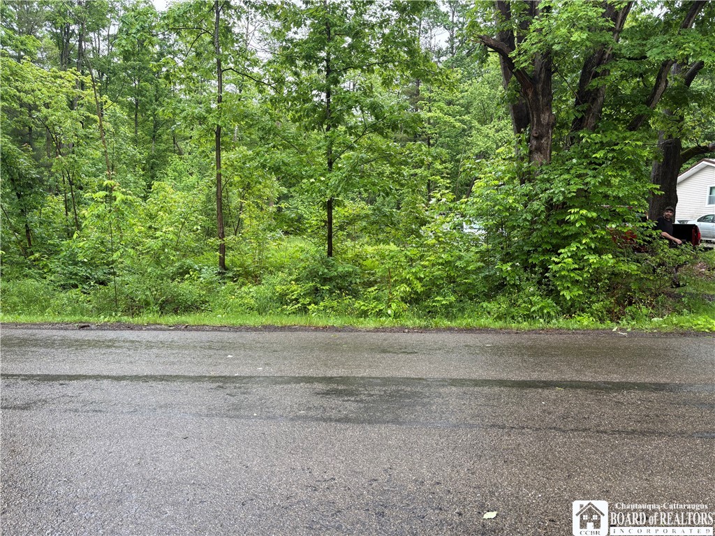 Scott Road Frewsburg, NY 14738 - Photo 2 of 16