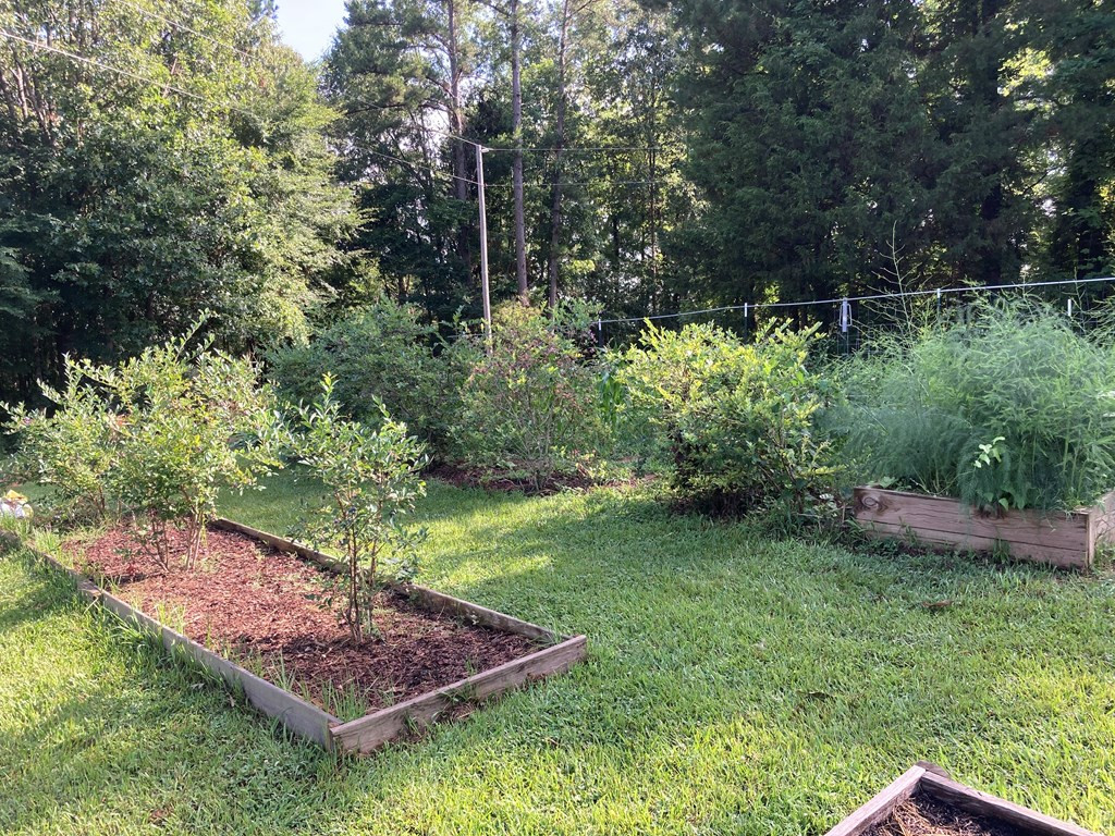 5151 Tomahawk undefined, MS 00000 - Photo 22 of 27 Photo 22