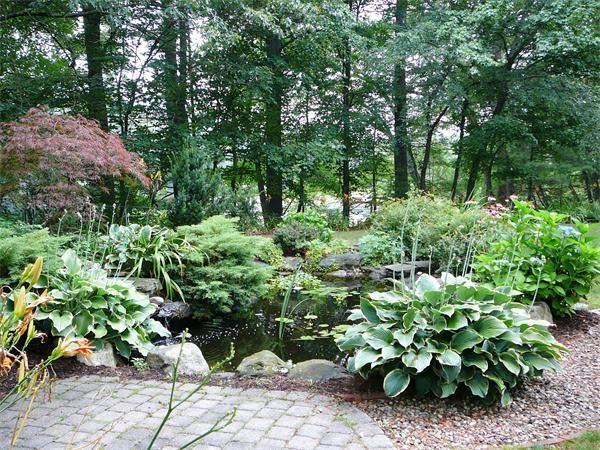 499 Dutton Road Sudbury, MA 01776 - Photo 18 of 21 a backyard of a house with lots of green space