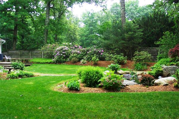 499 Dutton Road Sudbury, MA 01776 - Photo 19 of 21 a garden with lots of trees and flowers