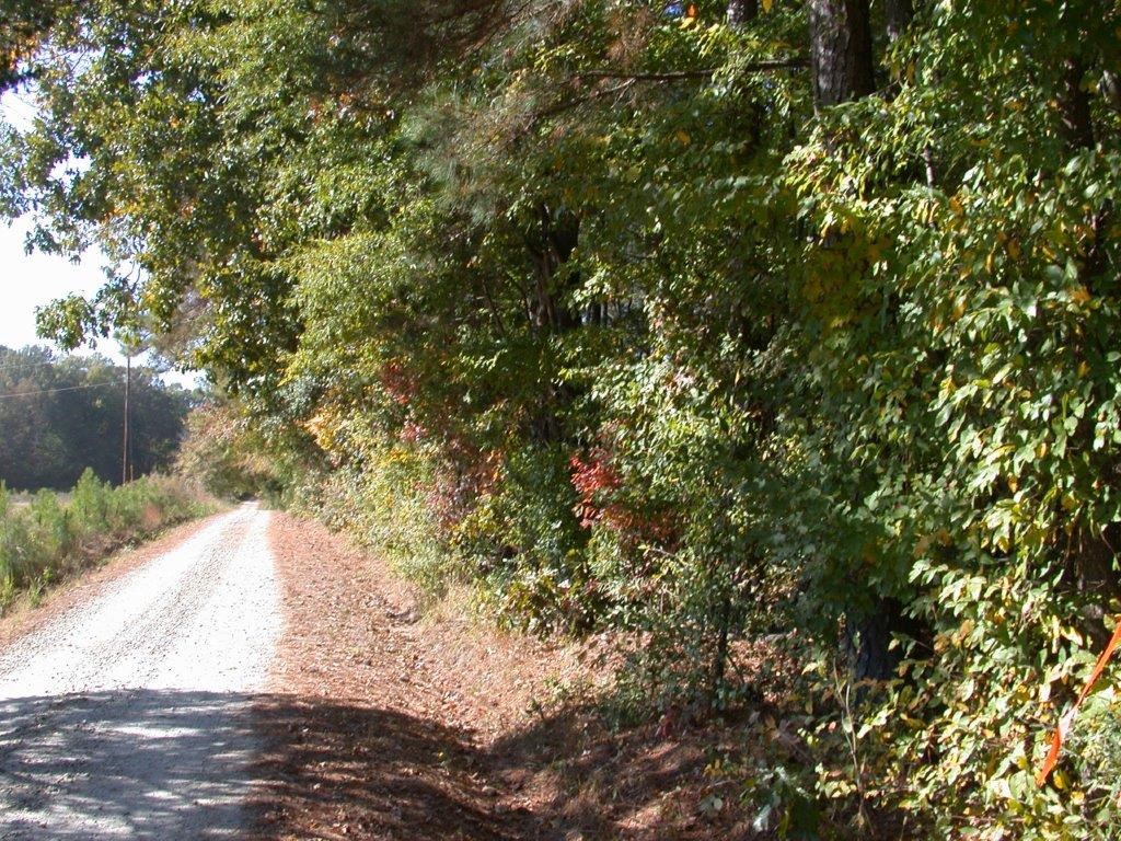 - Larkin Rice Road Saluda, SC 29138 - Photo 45 of 70