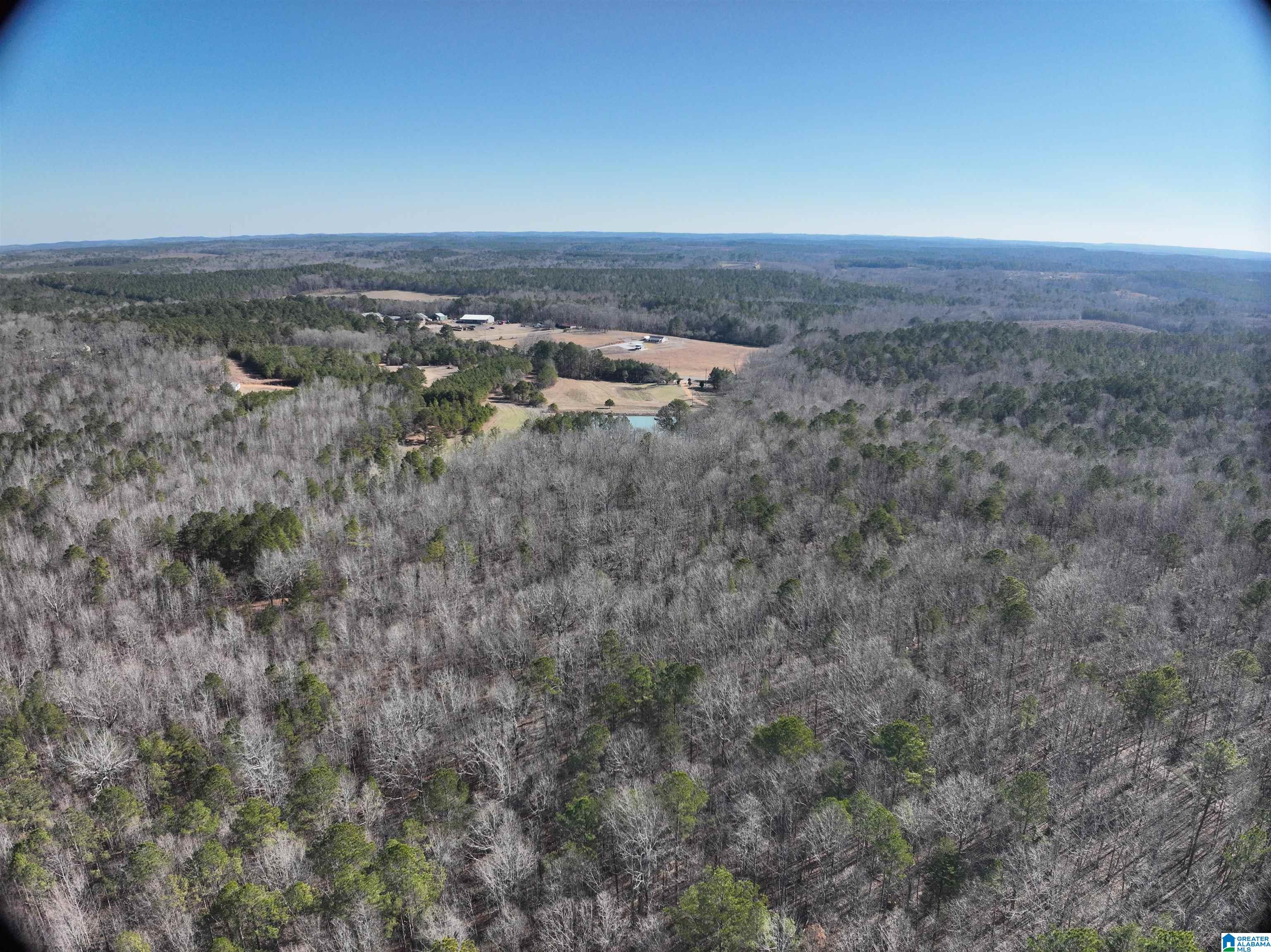 6171 Highway 102, Unit 1 Fayette, AL 35555 - Photo 11 of 68