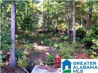 Lakeridge Drive, Unit 4 Ashville, AL 35953 - Photo 11 of 19