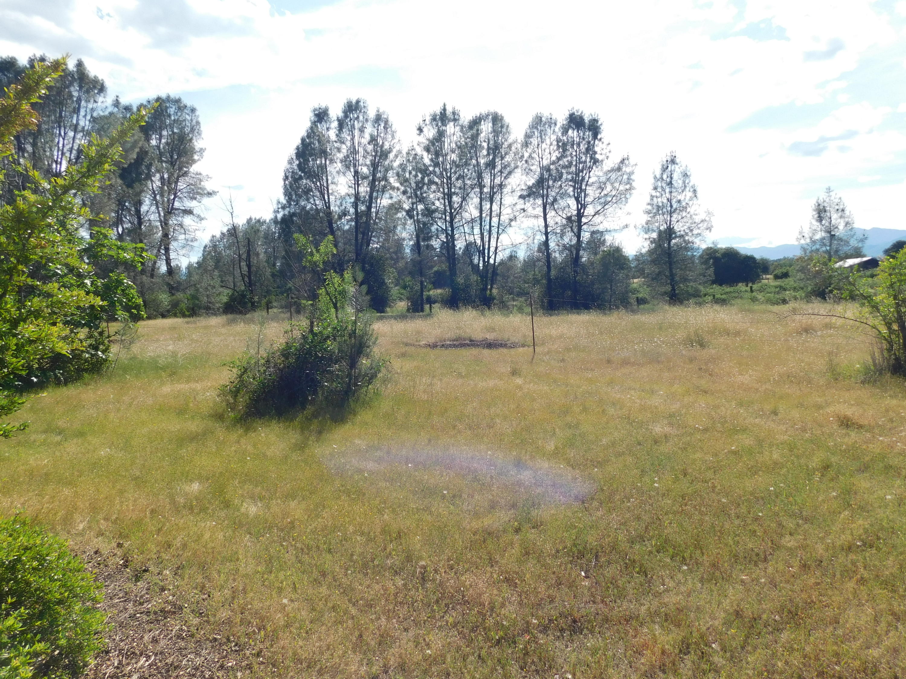 15671 Cloverdale Road Anderson, CA 96007 - Photo 15 of 25 Property