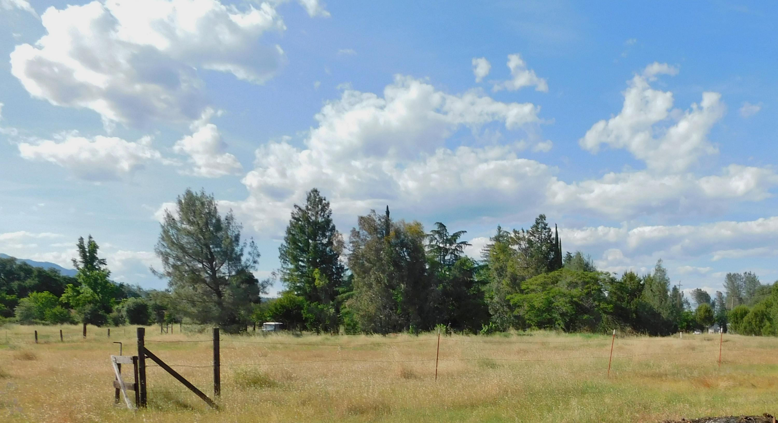 15671 Cloverdale Road Anderson, CA 96007 - Photo 16 of 25 Property NW
