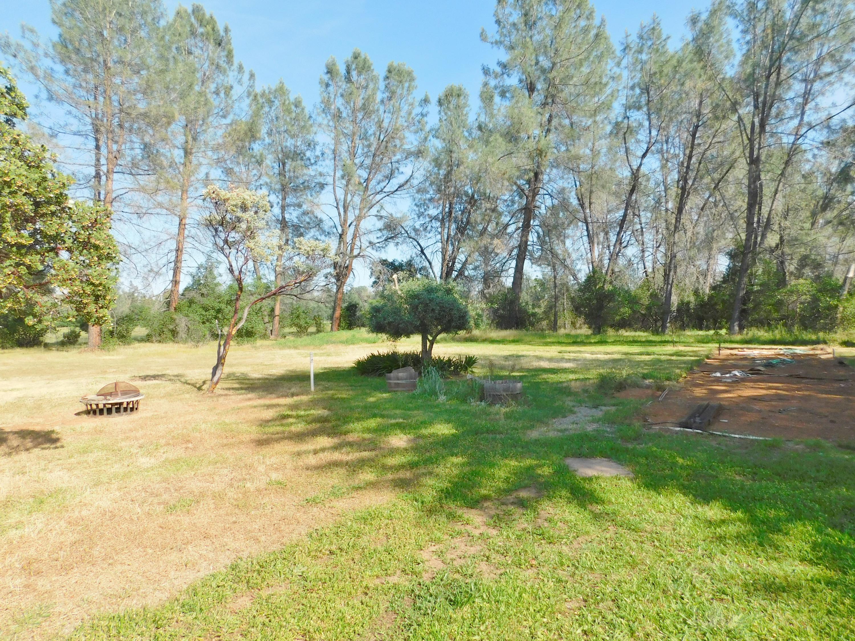 15671 Cloverdale Road Anderson, CA 96007 - Photo 23 of 25 Property South