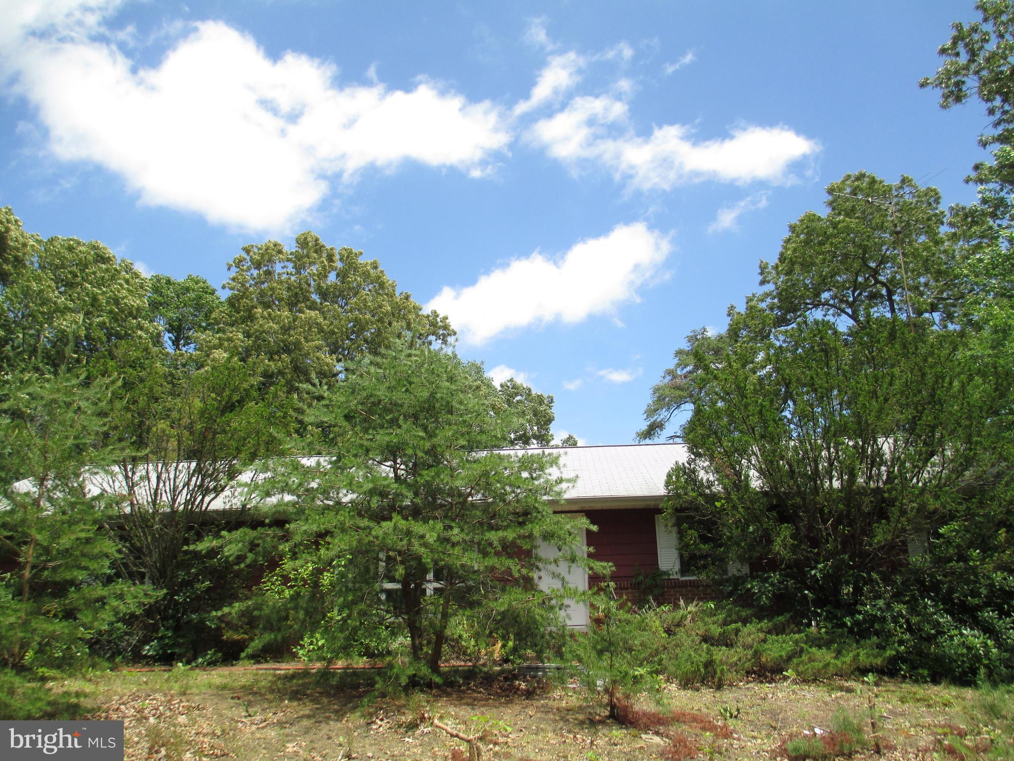 25121 Smith Landing Road Denton, MD 21629 - Photo 3 of 25 Exterior (Front)