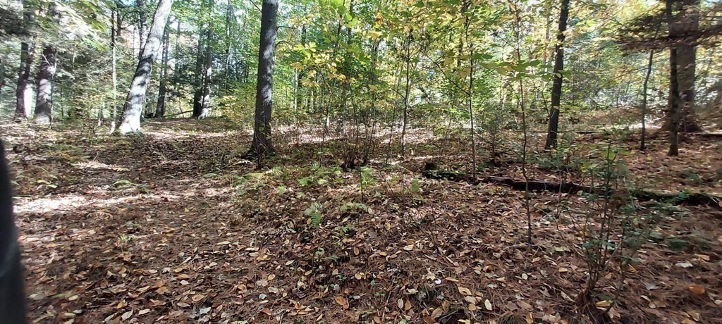 Lot-d Harkness Road Amherst, MA 01002 - Photo 7 of 11 Gallery Image 7