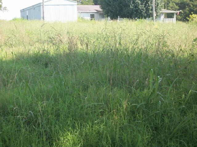 1304 Swan Mill Road Morrison, TN 37357 - Photo 2 of 3