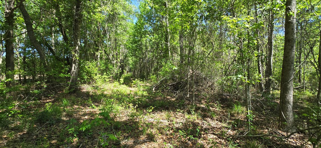 800 Grady Garner Road Slocomb, AL 36375 - Photo 19 of 49