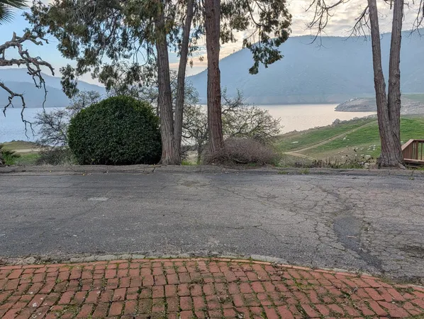 a view of a yard with an tree and plants