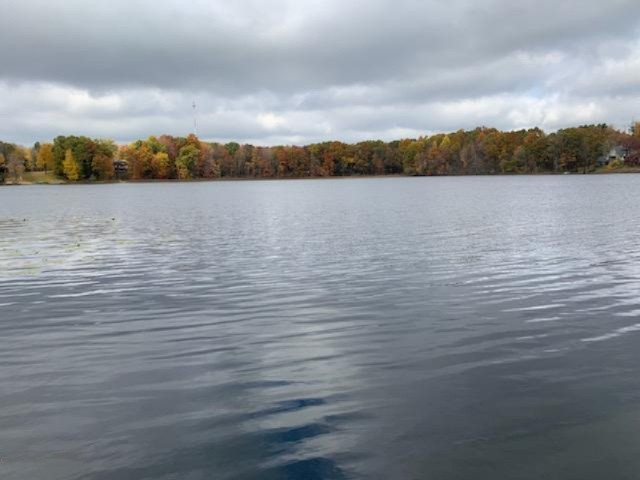 4250 Cloverdale Road Delton, MI 49046 - Photo 11 of 78 55974