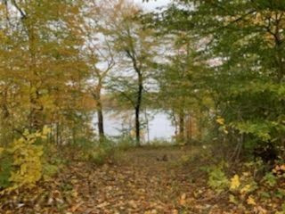 4250 Cloverdale Road Delton, MI 49046 - Photo 16 of 78 55983