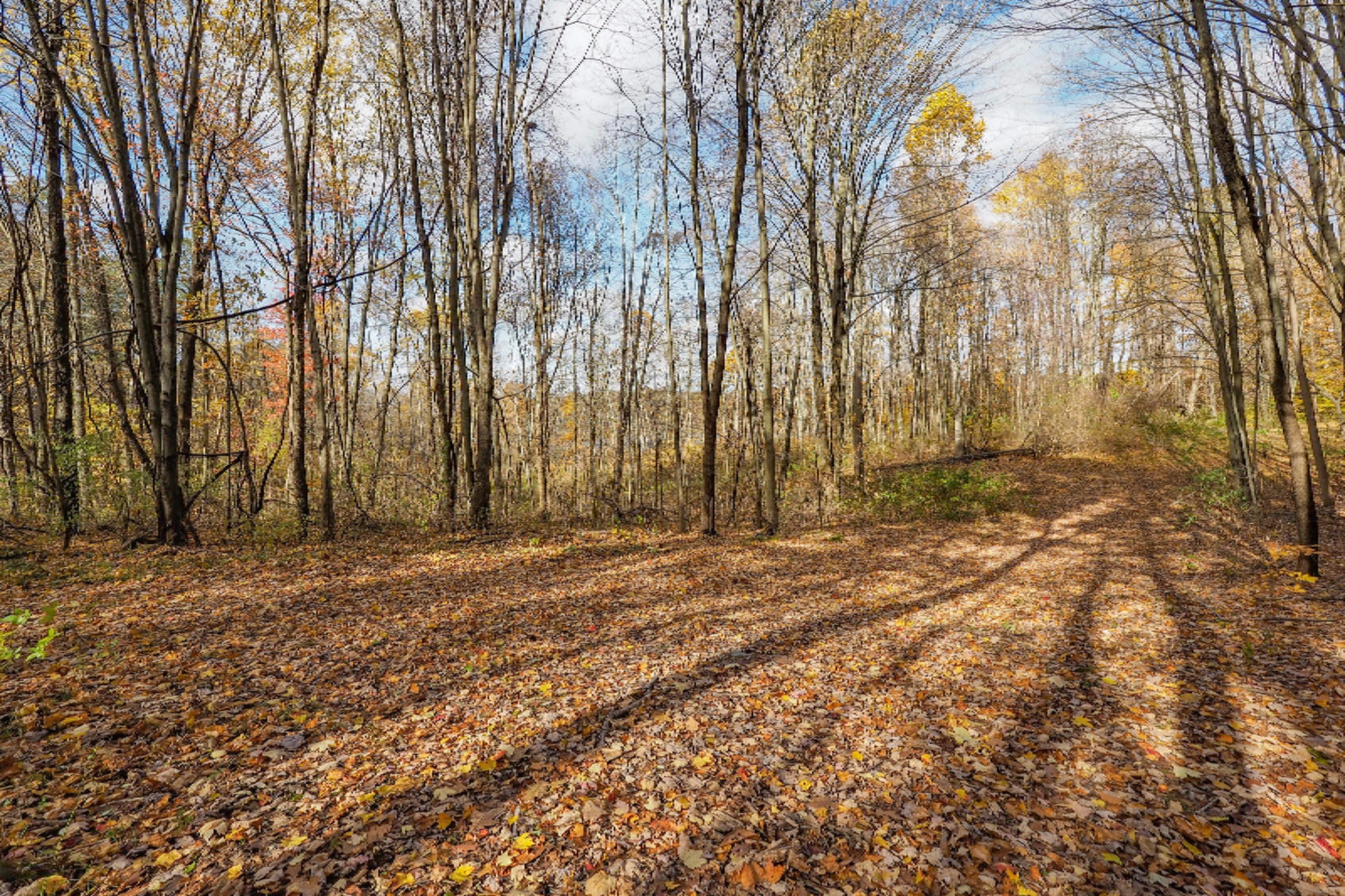 4250 Cloverdale Road Delton, MI 49046 - Photo 53 of 78 4250 Cloverdale Rd-137