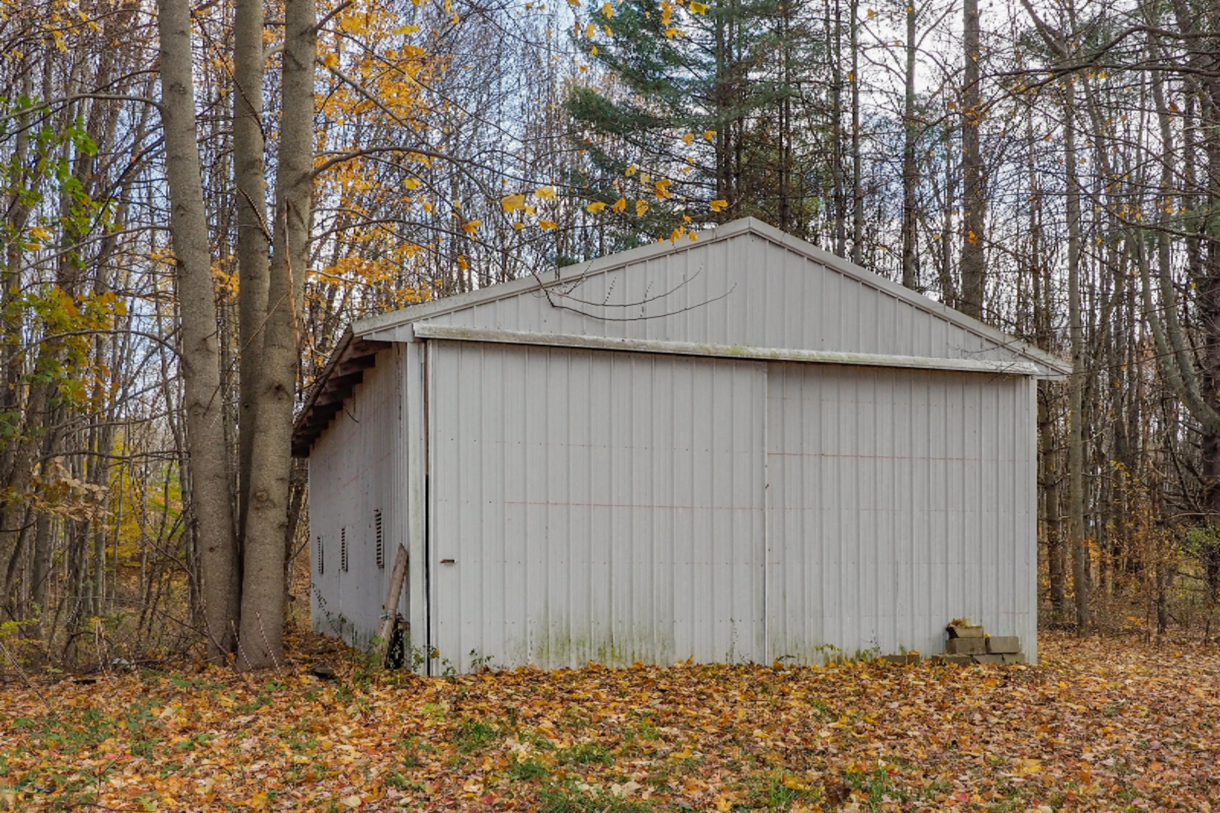 4250 Cloverdale Road Delton, MI 49046 - Photo 58 of 78 4250 Cloverdale Rd-140