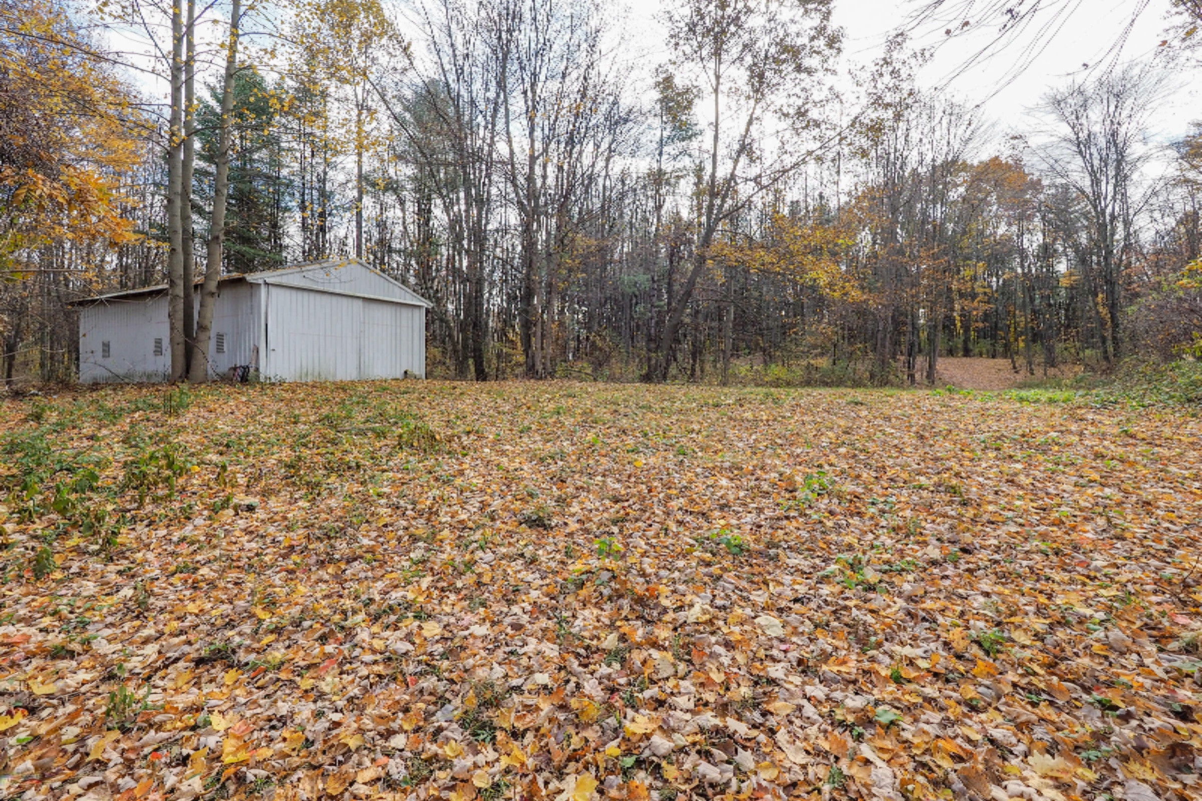 4250 Cloverdale Road Delton, MI 49046 - Photo 61 of 78 4250 Cloverdale Rd-141