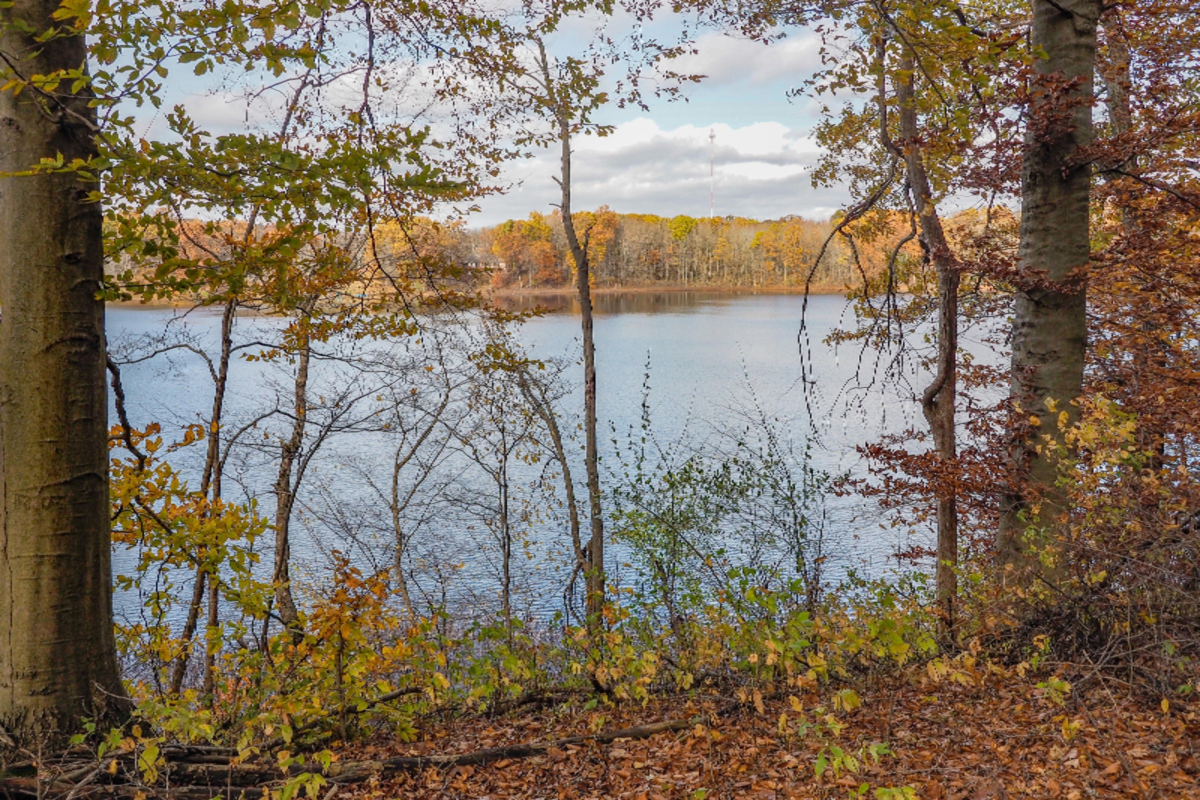 4250 Cloverdale Road Delton, MI 49046 - Photo 74 of 78 4250 Cloverdale Rd-143